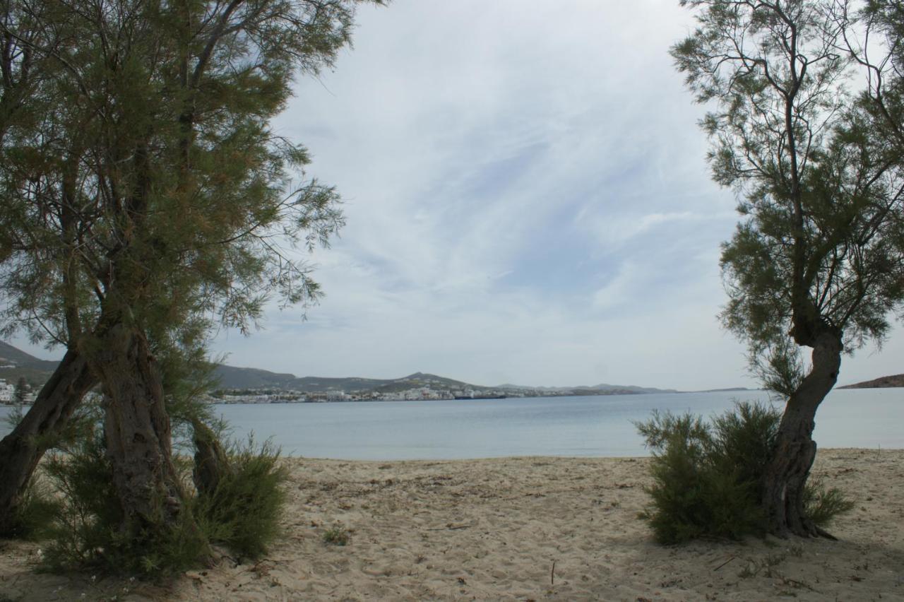 Hotel Eleftheria パロス島 エクステリア 写真